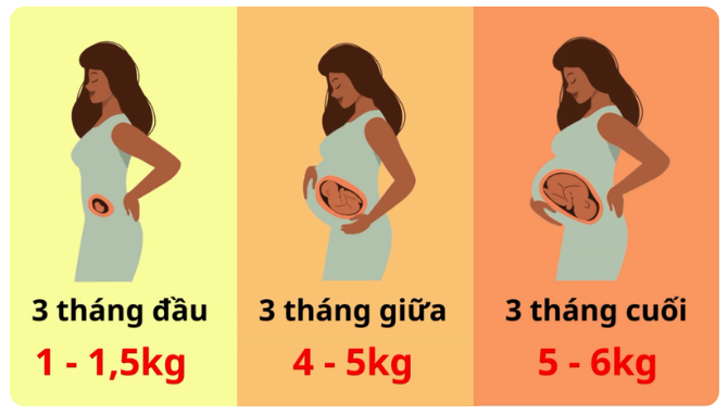 Mức tăng cân lý tưởng trong thai kỳ là bao nhiêu?